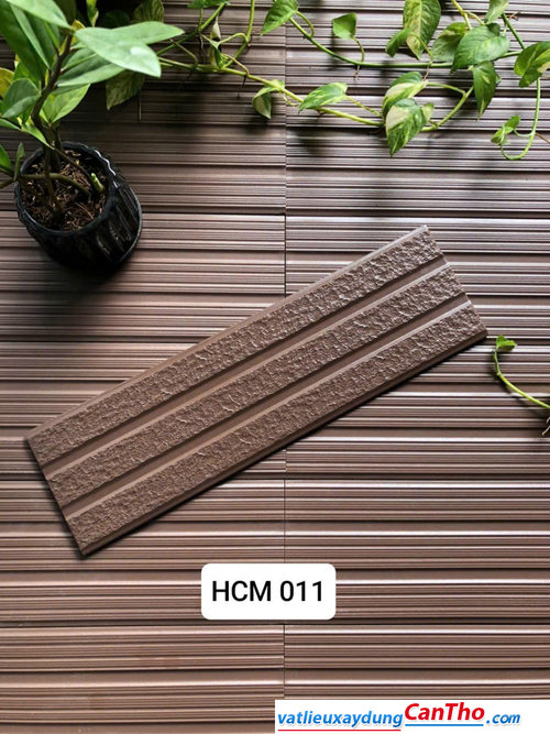Việt Nhật HCM 011